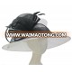 Women Wide Brim Sinamay White Plain Wedding Church Top Hats Bowler